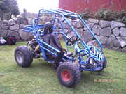 buggy 150cc galway would trade for 125cc motocross machine